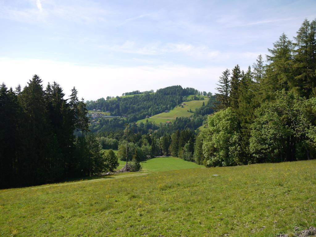 Hirschen Wald - Gasthaus & Baeckerei Exterior photo